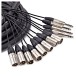 Studiospares 8 XLR/4 Jack Stage Box & Snake, 8m