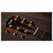 Taylor 214ce Plus 50th Anniversary LTD Grand Auditorium Electro Acoustic, Natural headstock