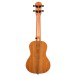 Ferndale Uc-e-w Ukulele Concert Electro Walnut - back 
