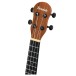 Ferndale Uc-e-w Ukulele Concert Electro Walnut - headstock 