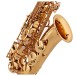 Trevor James 'The Horn' Alto Saxophone, Gold Lacquer