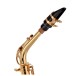 Trevor James 'The Horn' Alto Saxophone, Gold Lacquer