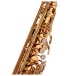 Trevor James 'The Horn' Alto Saxophone, Gold Lacquer