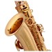 Trevor James 'The Horn' Alto Saxophone, Gold Lacquer