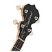 Tanglewood TWB 18 M4 Tenor Banjo
