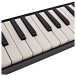 Yamaha P 37E Pianica, Black