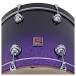 Premier Genista Maple 20