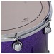 Premier Genista Maple 20