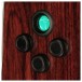Cort Gold-A8 Electo Acoustic, Light Burst - Electronics View