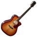 Cort Gold-A8 Electo Acoustic, Light Burst - Front View