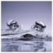 FiiO JH5 Hybrid In-Ear Earphones, Silver - Beauty image, reflection