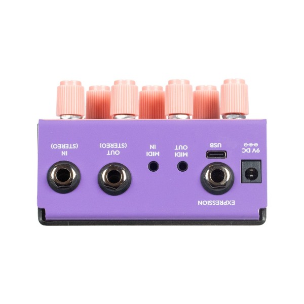 Old Blood Noise Endeavors Bathing Luminal Delay, Orchid - top