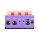 Old Blood Noise Endeavors Bathing Luminal Delay, Orchid - top