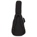 PRS SE P50 Parlour with Fishman Sonitone Pickup - case back