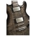 Cort M600, Trans Black Burst - pickups 