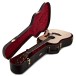 Taylor Legacy 810e LTD Electro Acoustic, Natural Gloss - case
