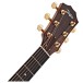 Taylor Legacy 514ce LTD Electro Acoustic, Natural Gloss - headstock 
