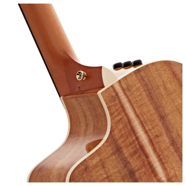 Taylor 214ce-K DLX Electro Acoustic - body back 