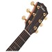 Taylor 214ce-K DLX Electro Acoustic - headstock 