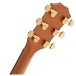 Taylor 214ce-K DLX Electro Acoustic - headstock back 