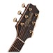 Takamine GD90CE Electro Acoustic, Ziricote