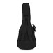 Takamine GD90CE Electro Acoustic, Ziricote