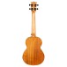 Flight NUT500 Tenor Ukulele, Mahogany - back 