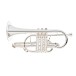 Besson Sovereign BE928G Bb Cornet, Silver Plated