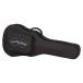 Epiphone Hummingbird Deluxe EC, Natural - case 