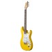 PRS SE Silver Sky, Dandy Lion - angle 