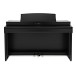 Kawai CN301 Digital Piano, Satin Black
