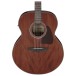 Ibanez AJ54E, Natural body 