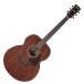 Ibanez AJ54E, Natural front