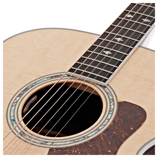 Taylor Legacy 815e LTD Electro Acoustic, Natural Gloss - soundhole 