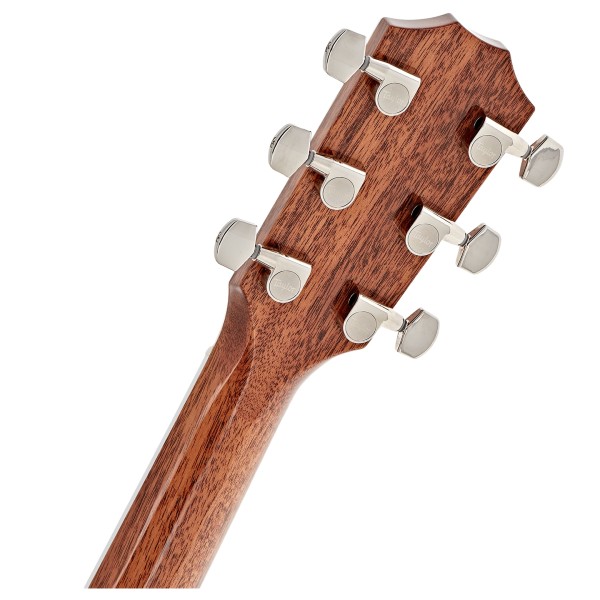 Taylor Legacy 815e LTD Electro Acoustic, Natural Gloss - headstock back