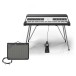 Rhodes MK8 Piano With Fender Tone Master Twin Reverb - Bundle