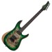 Schecter Reaper-6, Forest Burst