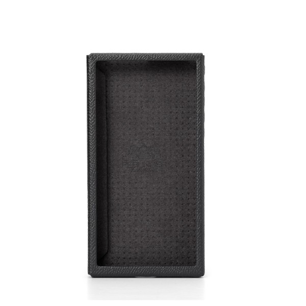 Astell & Kern PD10 Case, Black - main  