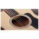 Taylor GS Mini-e Rosewood Plus