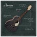 Hartwood Century Parlour Acoustic Guitar, Black