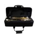 Forte Tr220 Trumpet Outfit