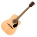 Fender FA-125CE Dreadnought Electro Acoustic WN, Black