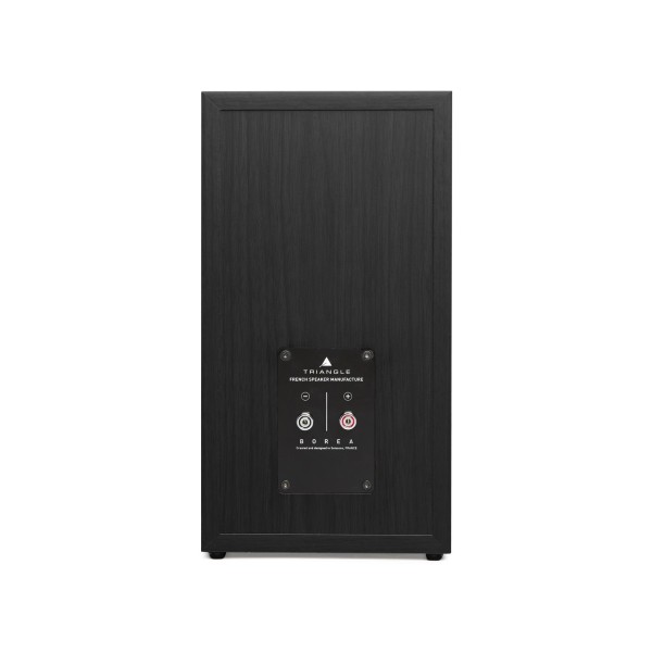 Triangle Borea BR03 Bookshelf Speakers (Pair), Black Ash rear view and binding posts