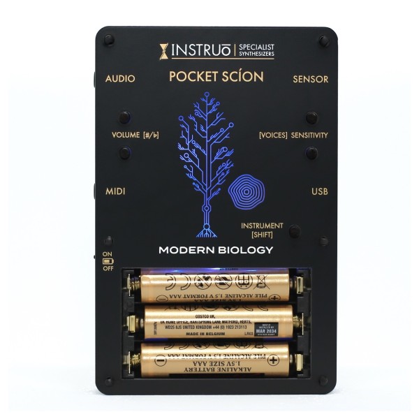 Pocket Scion - Rear