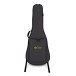 Martin SC-13E Electro Acoustic, Natural