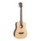 Cort Earth GO 3/4 Mini Dreadnought, Open Pore