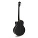 Ibanez AEB8E, Black