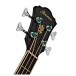 Ibanez AEB8E, Black