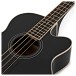 Ibanez AEB8E, Black