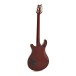 PRS S2 Mccarty 594 Honey Gold Burst - BACK